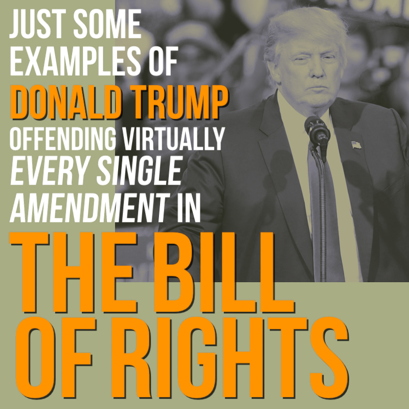 How many can YOU count? President Trump's conduct in office is an affront to Amendments 1-10, and more.